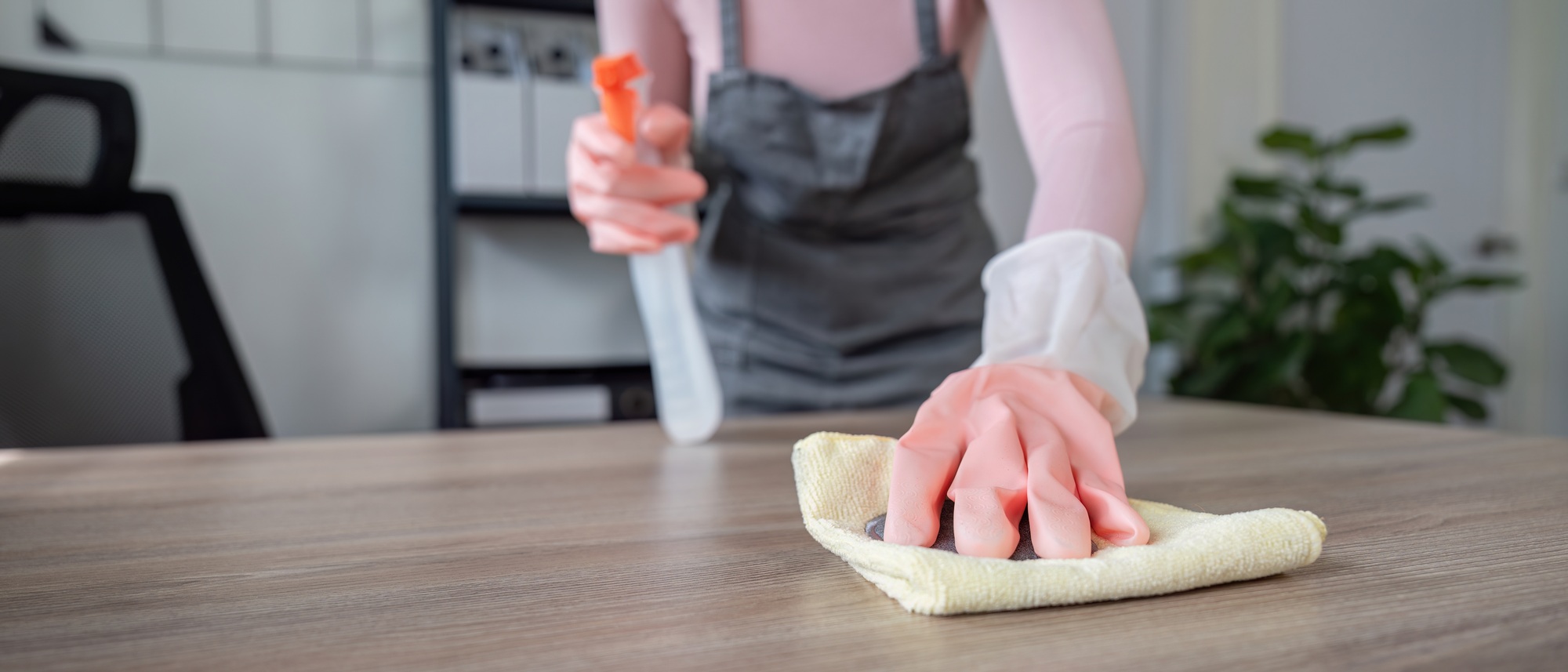 Professional Maid Cleaning a Modern Home. Housekeeping Service, Cleaning Supplies, and Hygienic